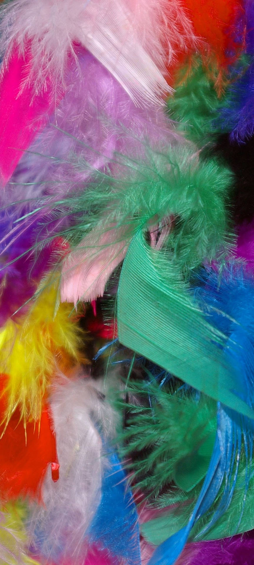 Vivo V20 Colorful Feathers Wallpaper