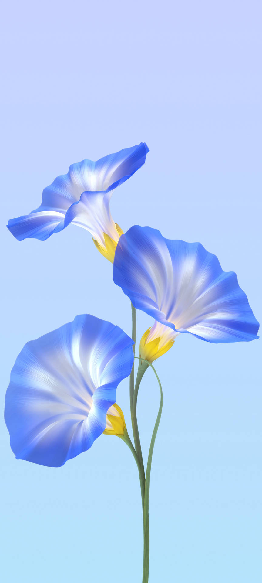 Vivo Y11 Blue Flowers Wallpaper