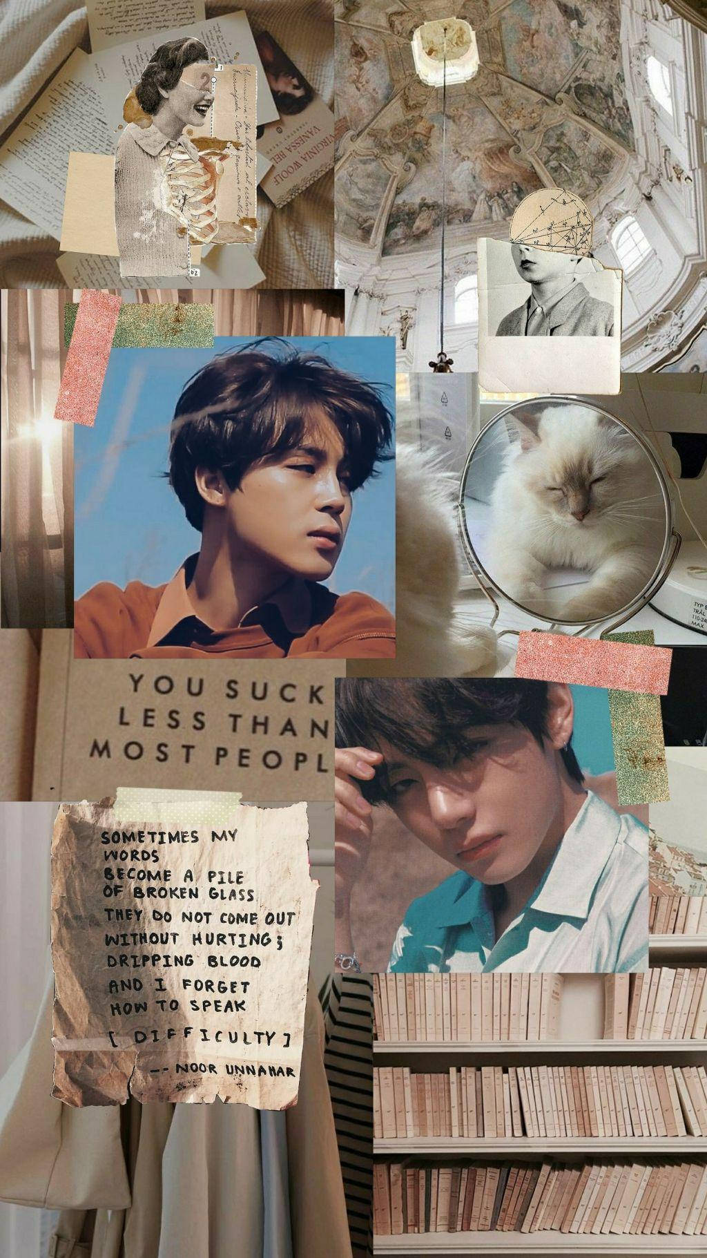 Vmin Library Aesthetic Background