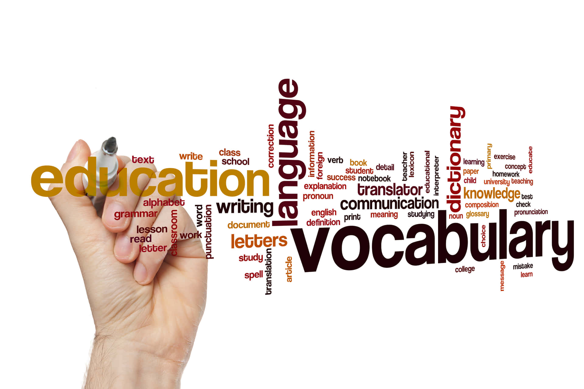 Explore the world of Vocabulary