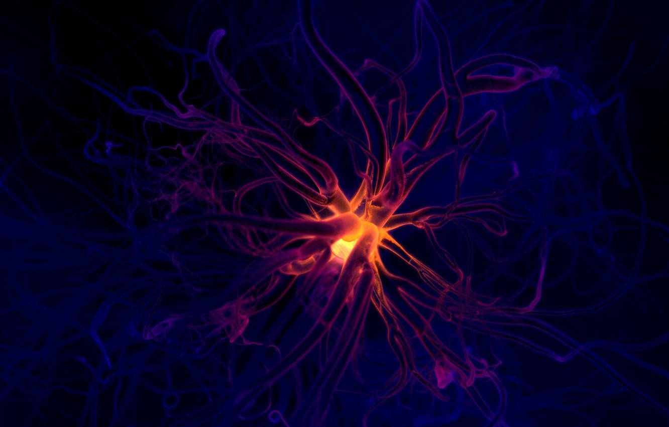 Volatile Neurons In The Dark Wallpaper