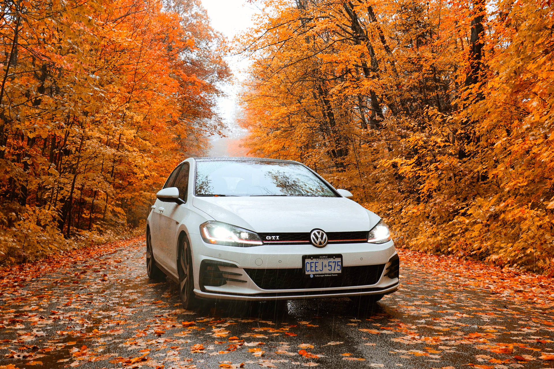 Volkswagen Golf GTI Mk7 In Autumn Wallpaper