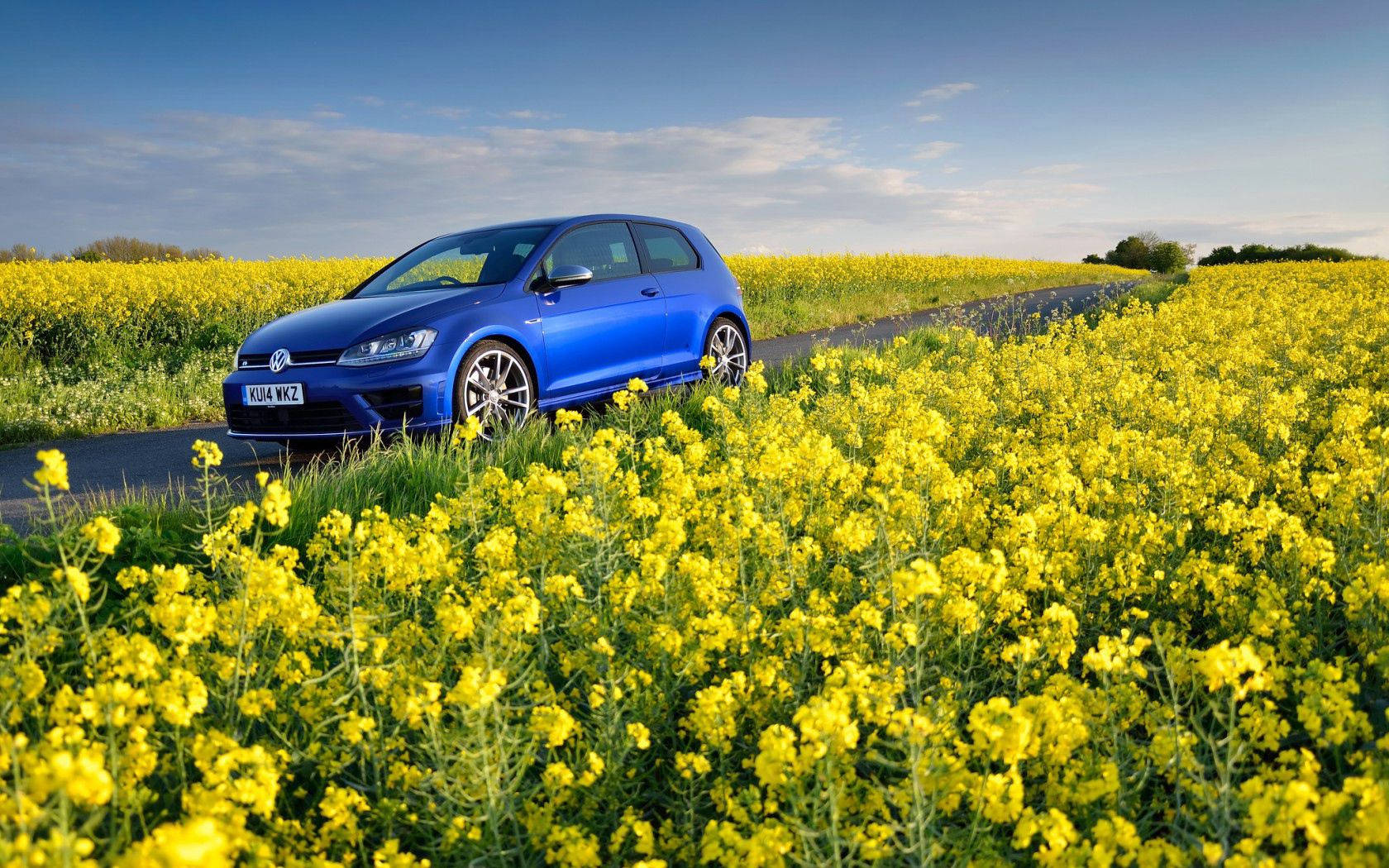 Volkswagen, Golf R, Mk7, Flowers, Field