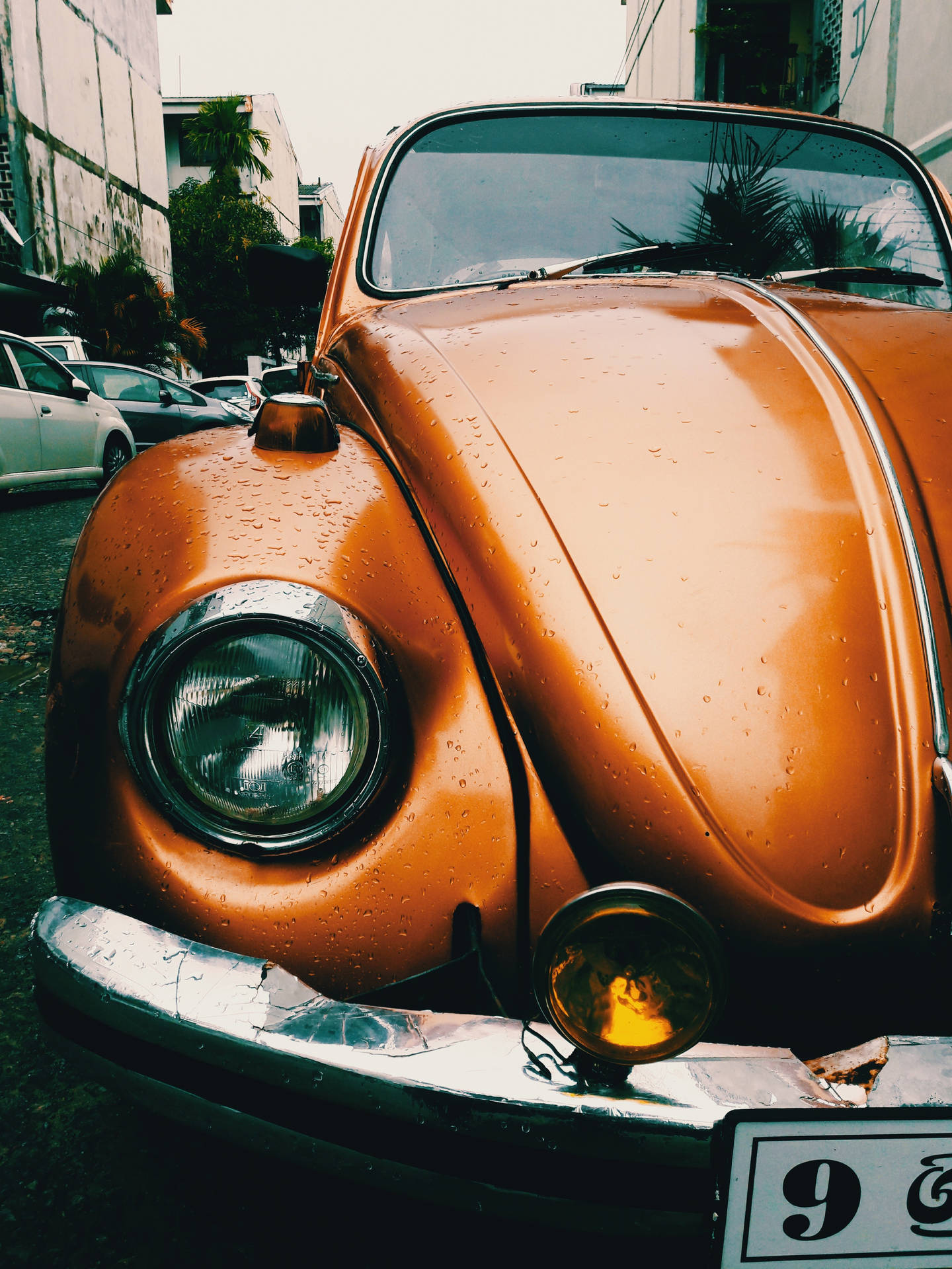 The Classic Volkswagen Beetle Wallpaper