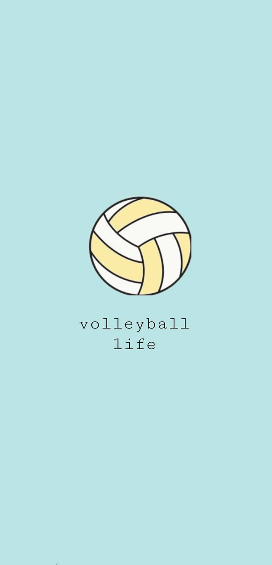 Download A smiling volleyball is ready to take the court Wallpaper   Wallpaperscom