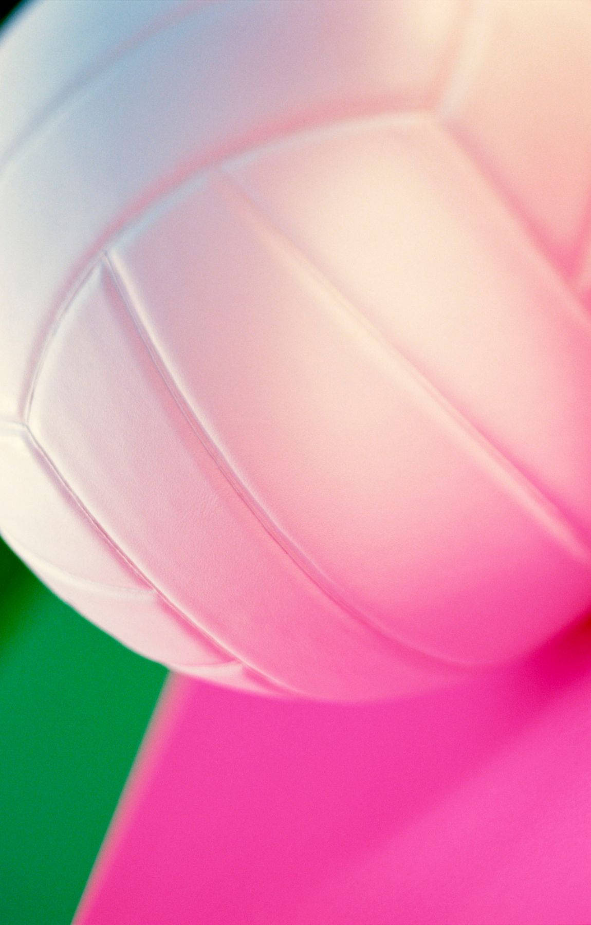 A view of a volleyball seen from above. Wallpaper