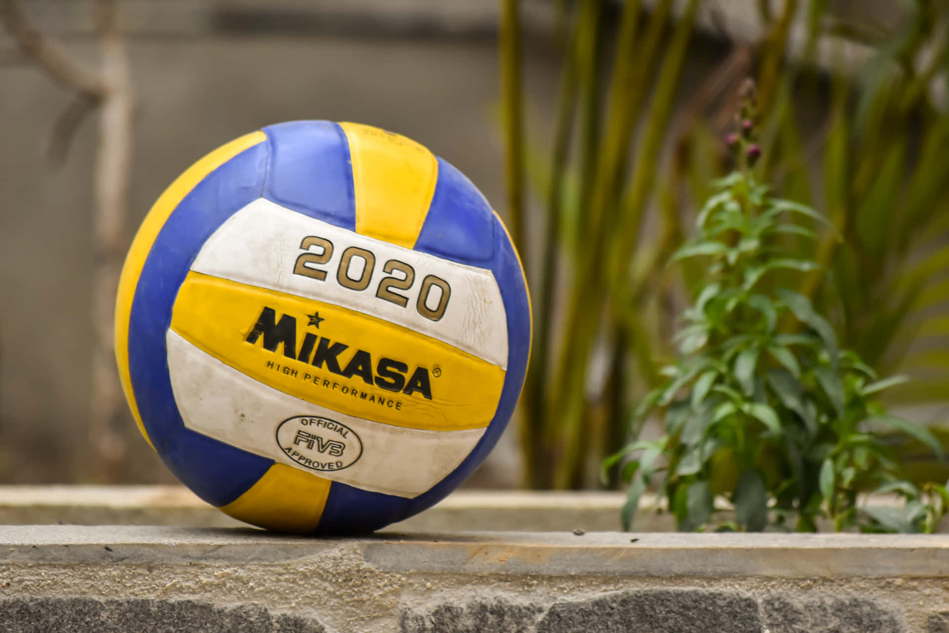 A volleyball ball ready for play! Wallpaper