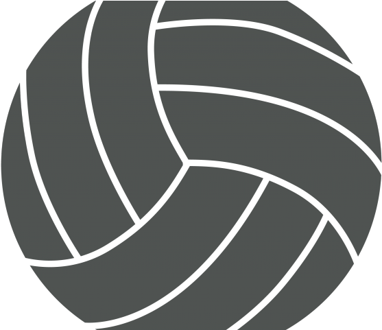 Download Volleyball Logo Graphic | Wallpapers.com