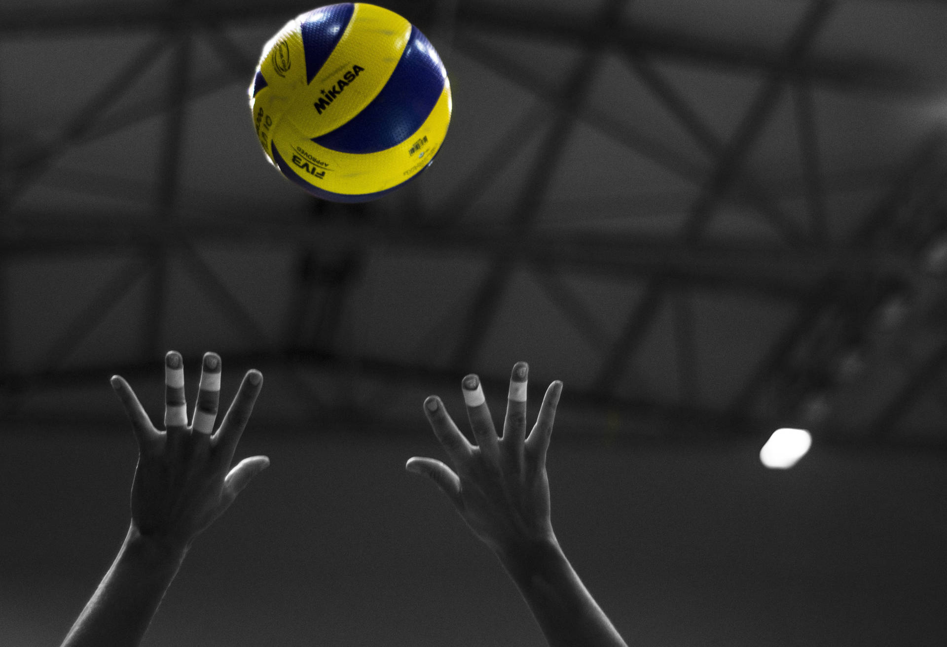 Discover 84+ volleyball wallpaper hd 1080p latest - vova.edu.vn