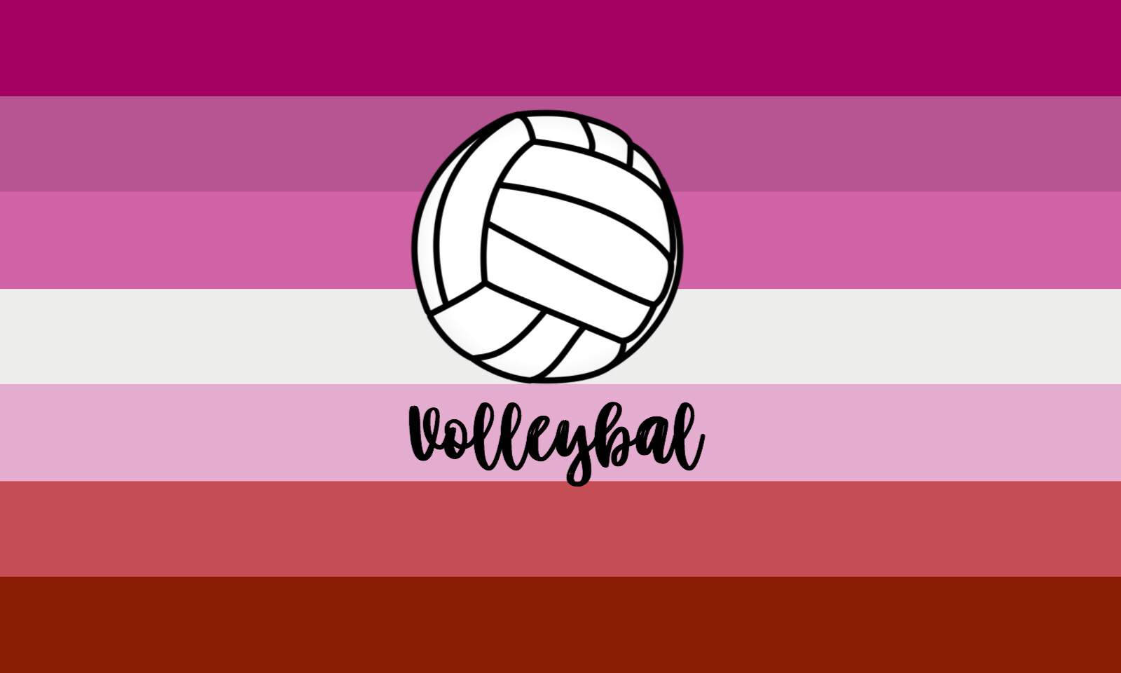 Volleyballcon La Bandera Lesbiana Fondo de pantalla