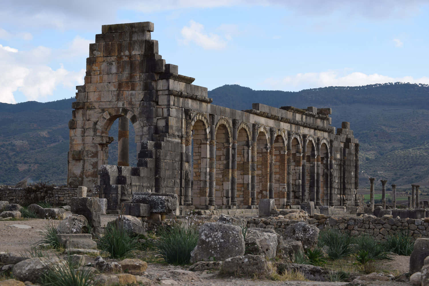 Volubilis Basilica Ruiner giver et originalt udseende. Wallpaper