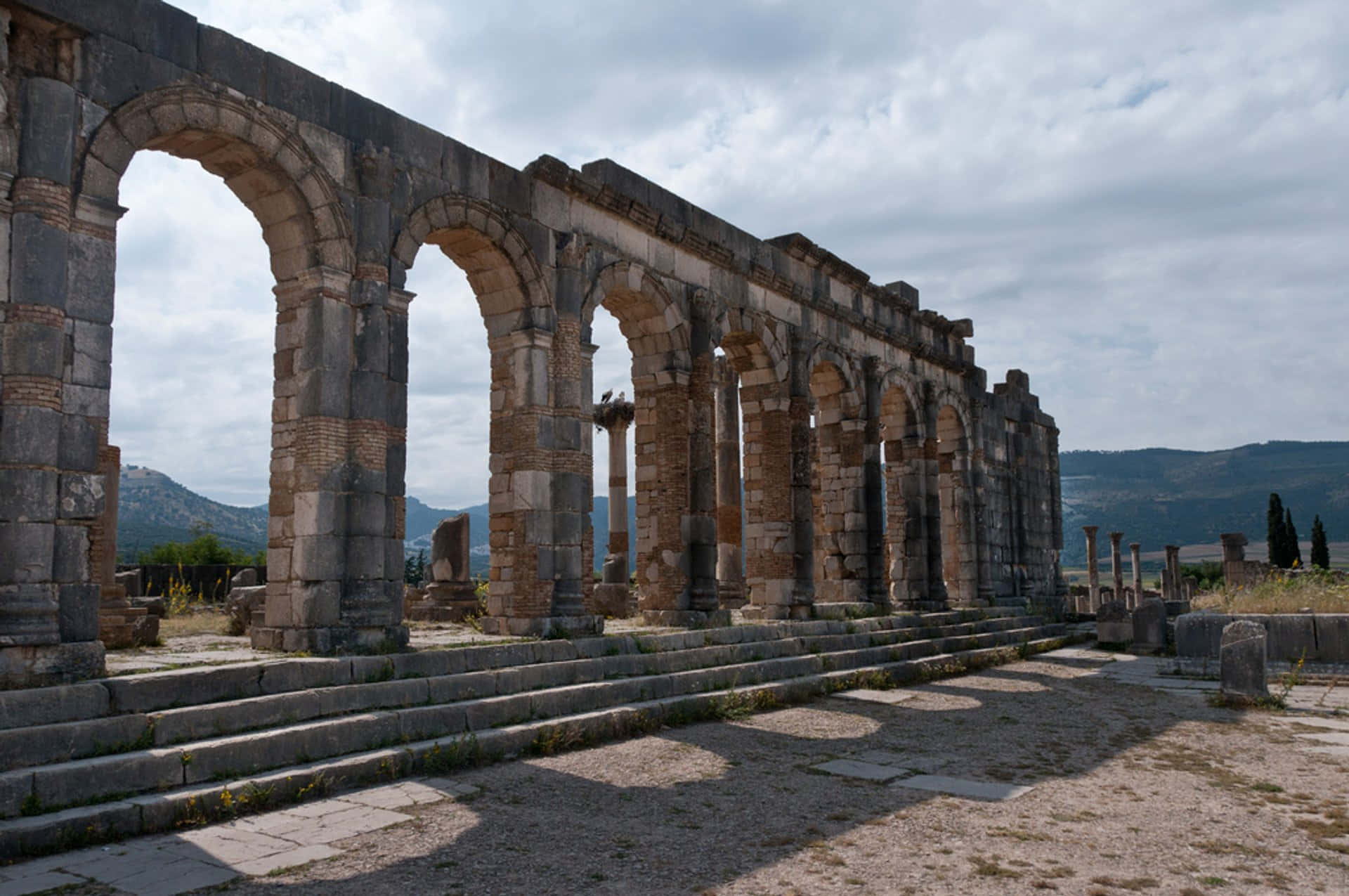 Volubilis Ruins Morocco Arches Picture