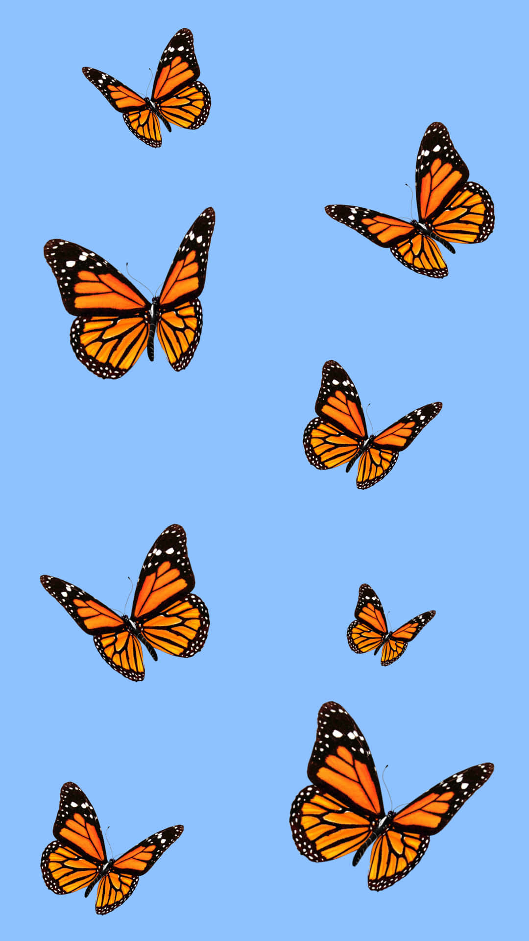 VSCO Butterfly i Blå Æstetisk Tapet Wallpaper