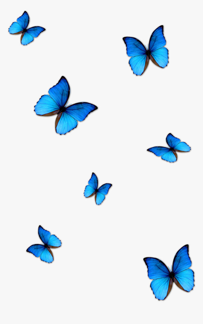 Share more than 62 preppy butterfly wallpaper best  incdgdbentre