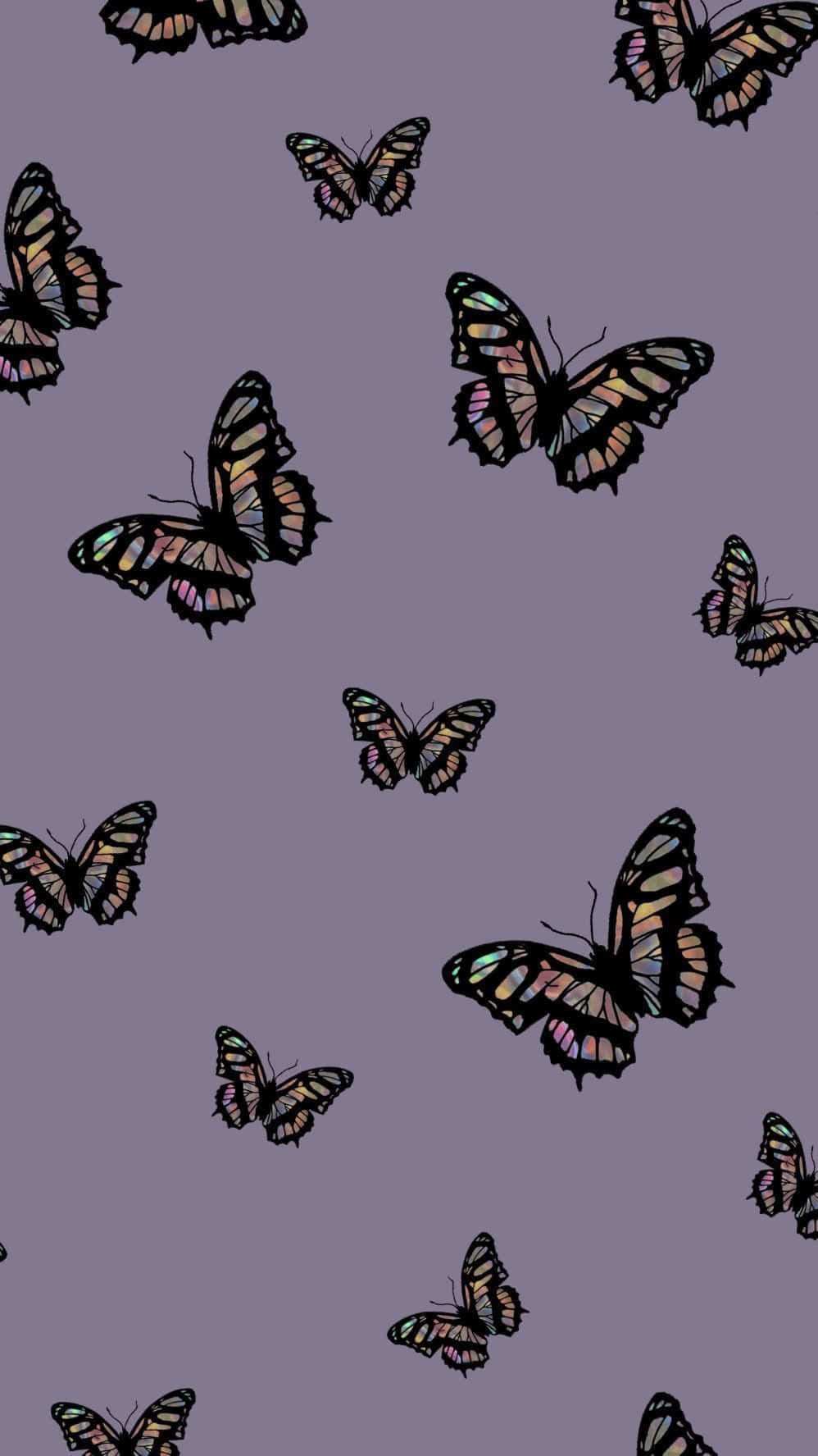 Vscofjärilar I Lila Estetik. Wallpaper