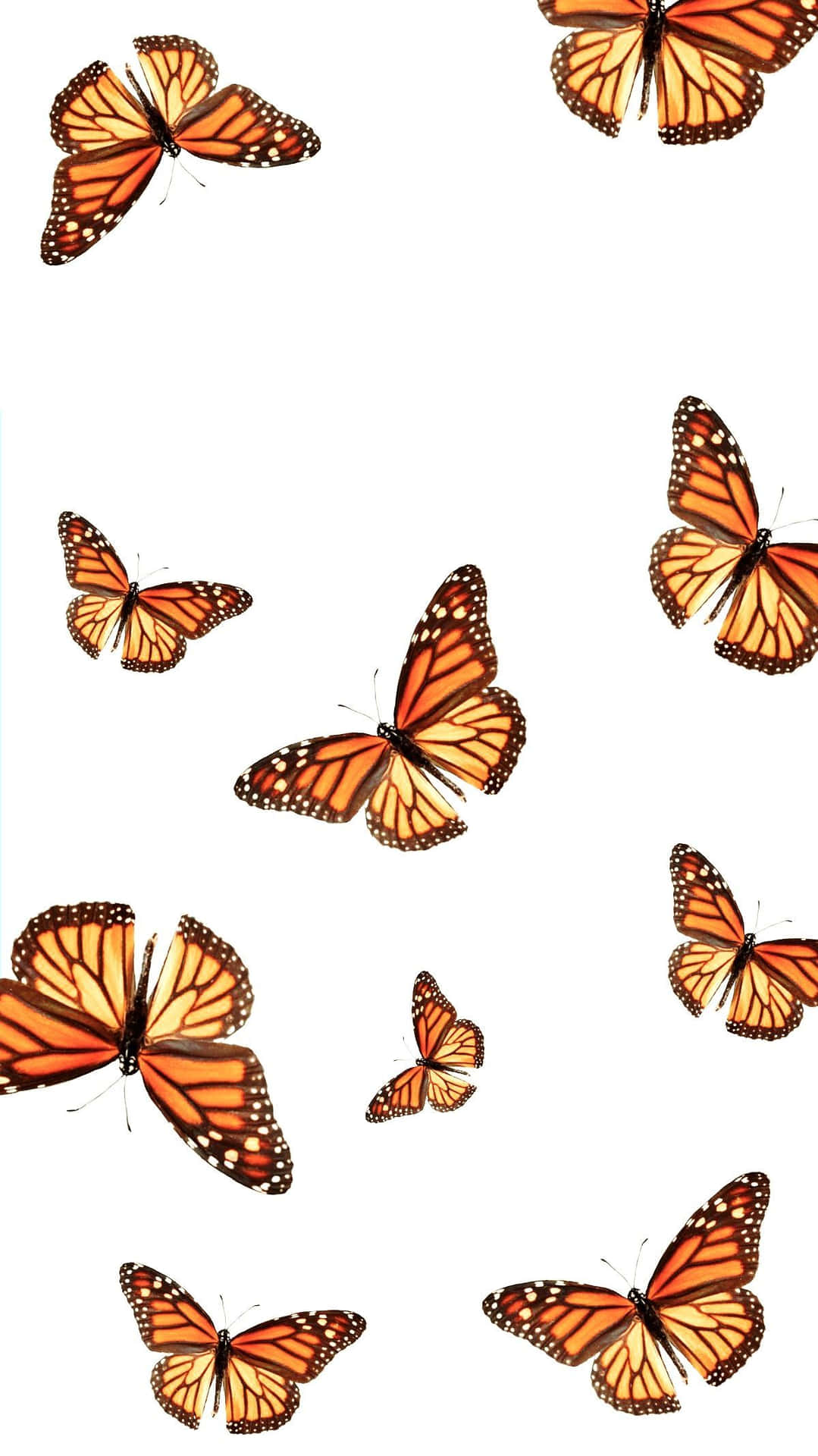 VSCO Butterflies In White Aesthetic Wallpaper