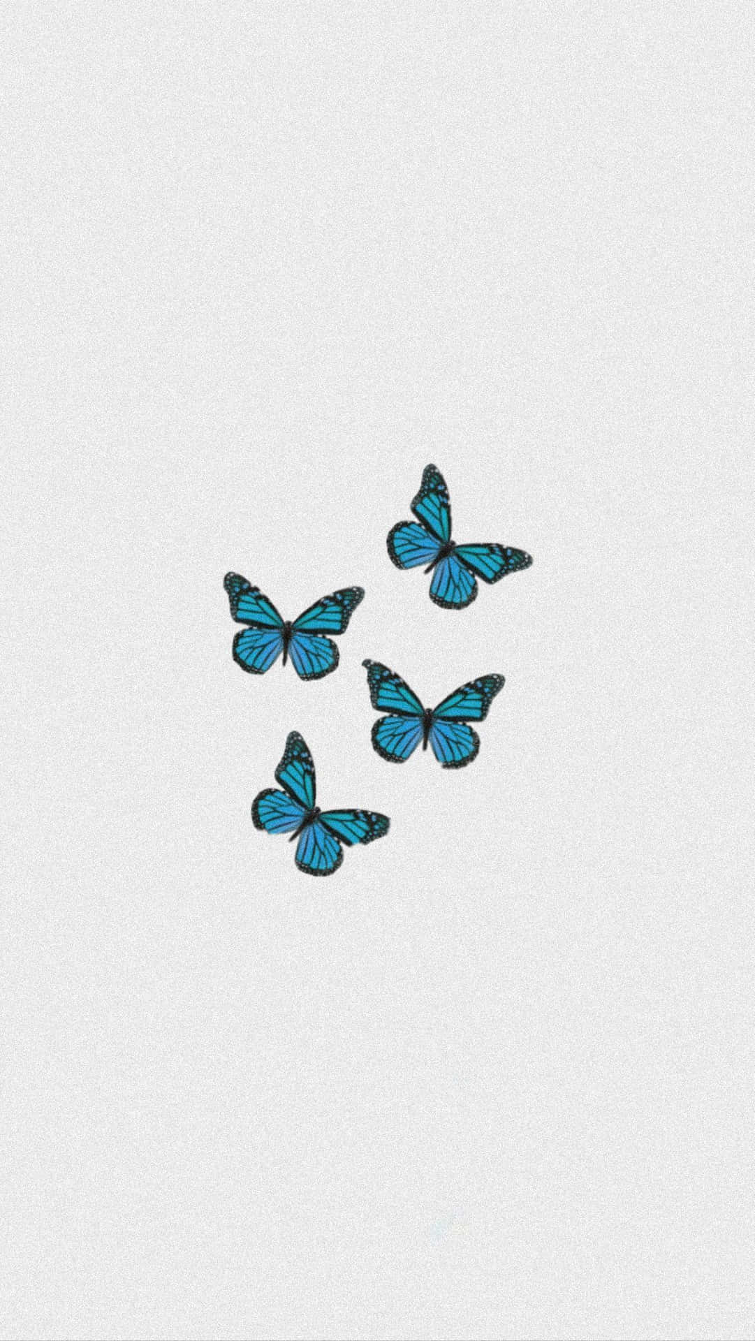 VSCO Butterfly Aesthetic Cover Wallpapers  Wallpaper Cave