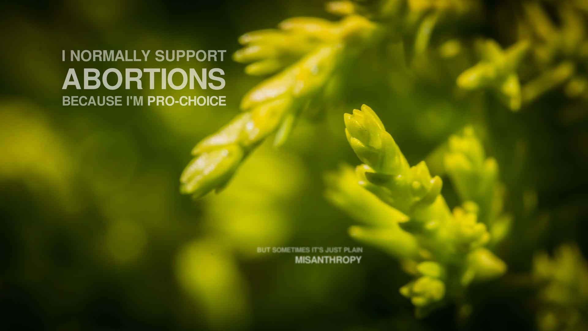 Vulgar Quote About Abortion [wallpaper] Wallpaper