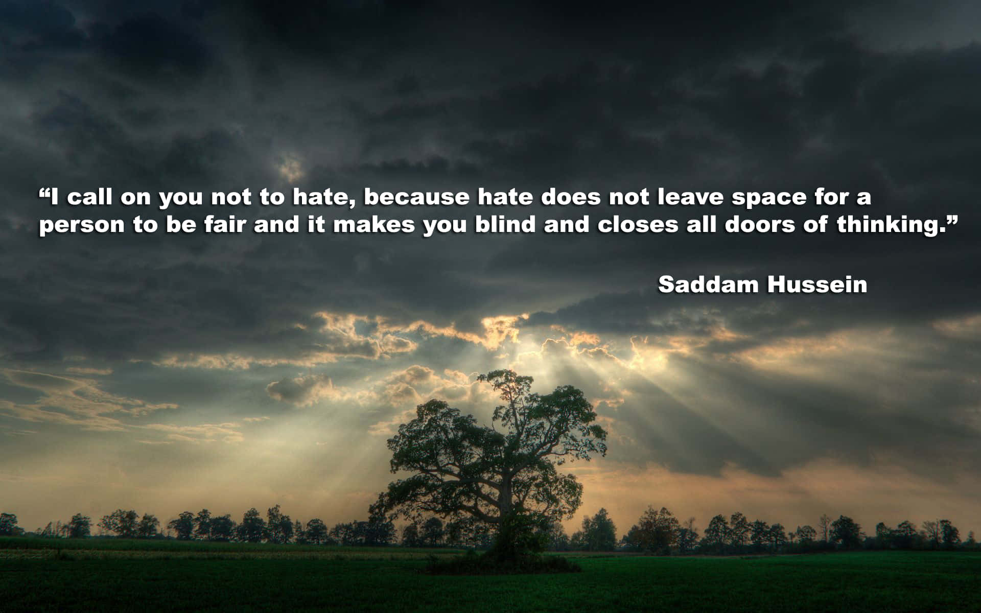 Vulgar Quote About Hate [wallpaper] Wallpaper