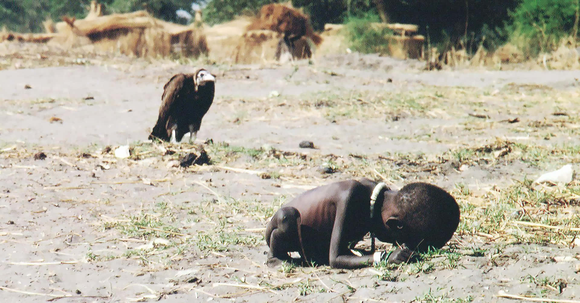 Vulture Preying On Emaciated Child Wallpaper