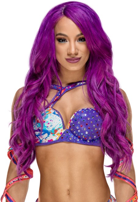 W W E Diva With Purple Hair PNG