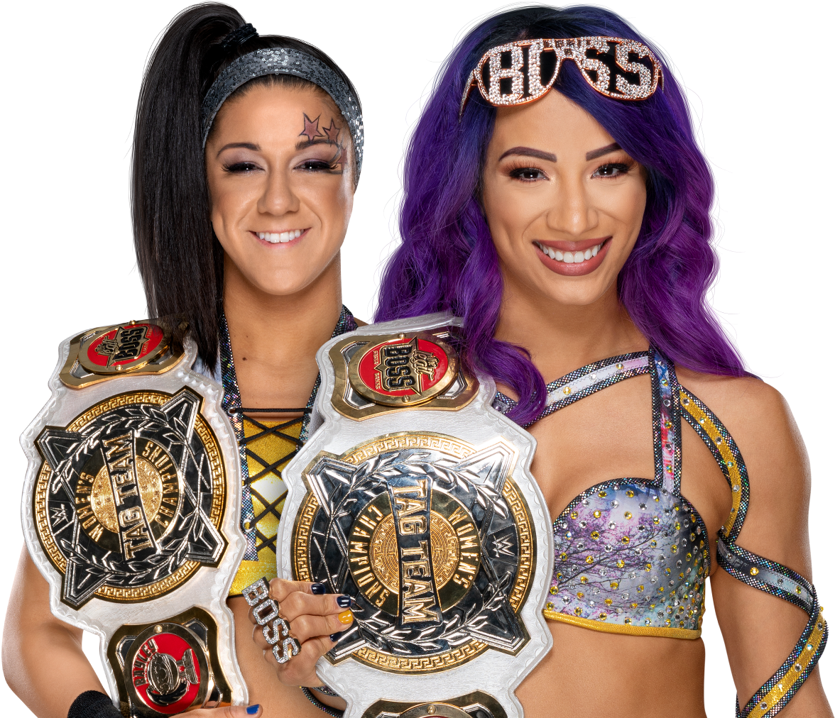 W W E Women Tag Team Champions PNG