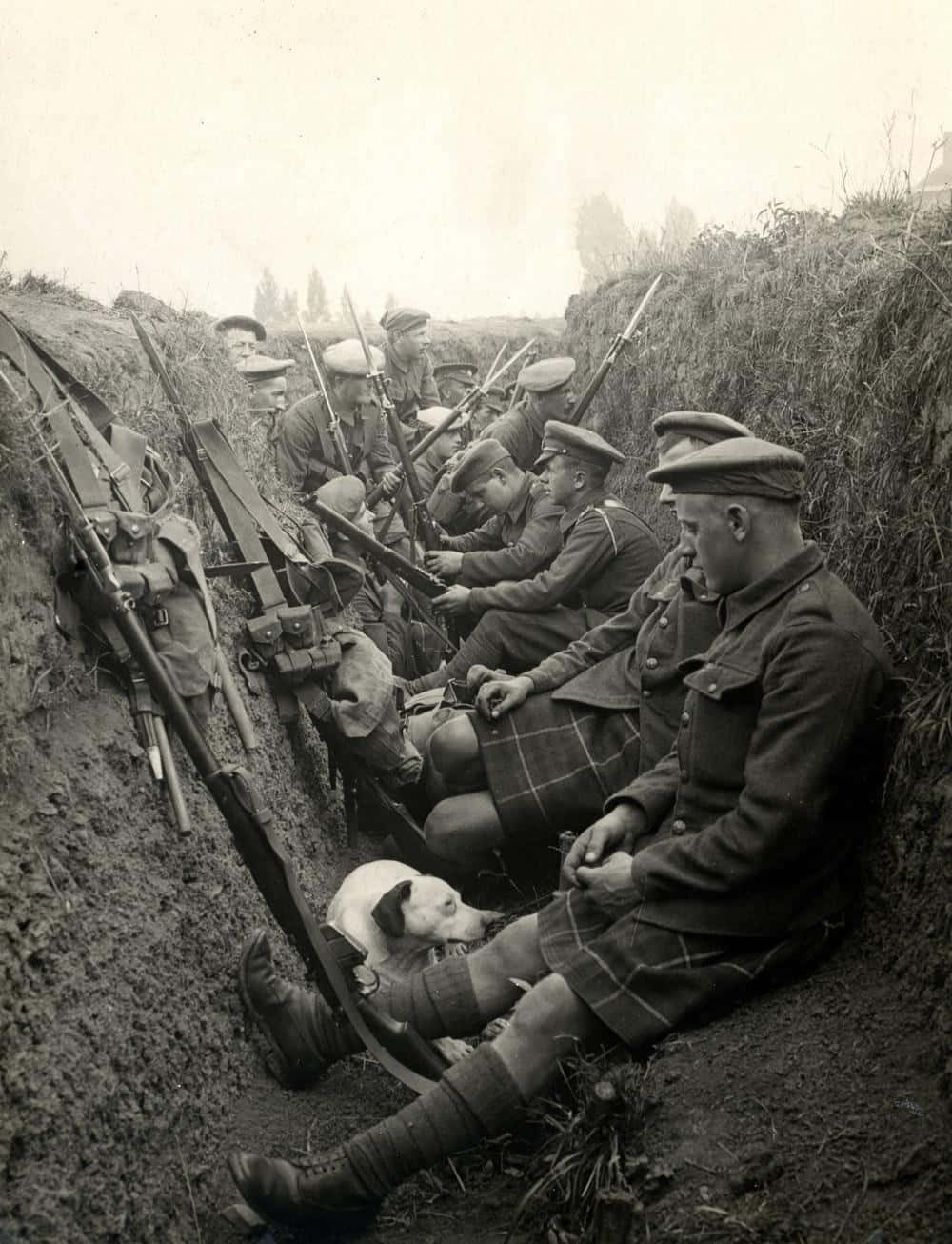 W W I_ Soldiers_in_ Trench_with_ Dog.jpg Wallpaper