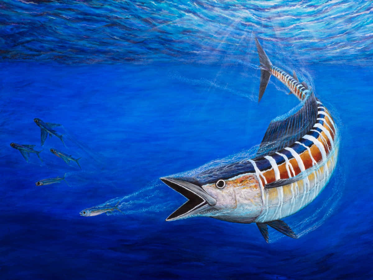 Wahoo Fish Underwater Art Wallpaper
