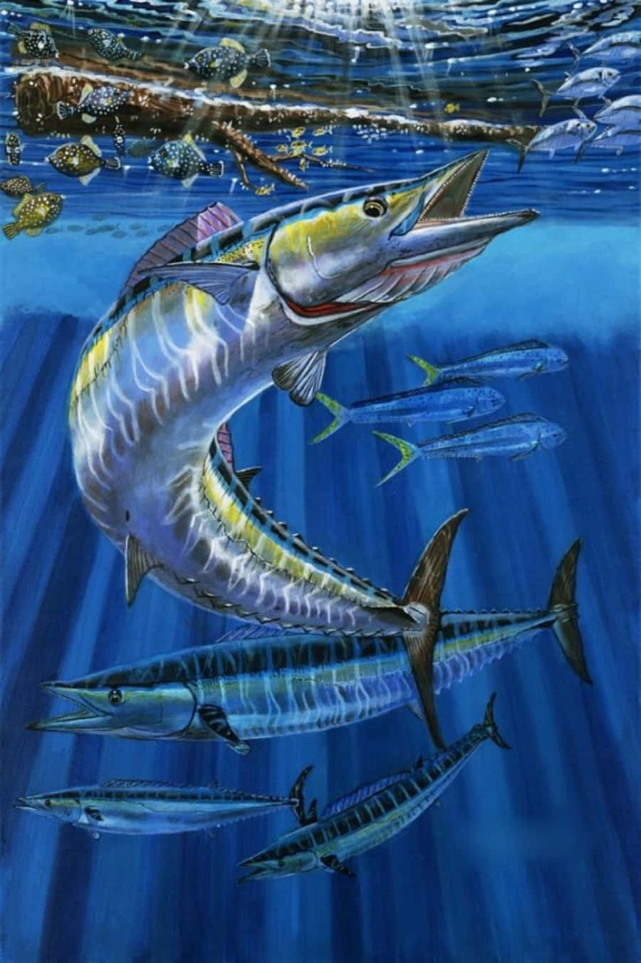 Wahoo Fish Underwater Illustration Wallpaper