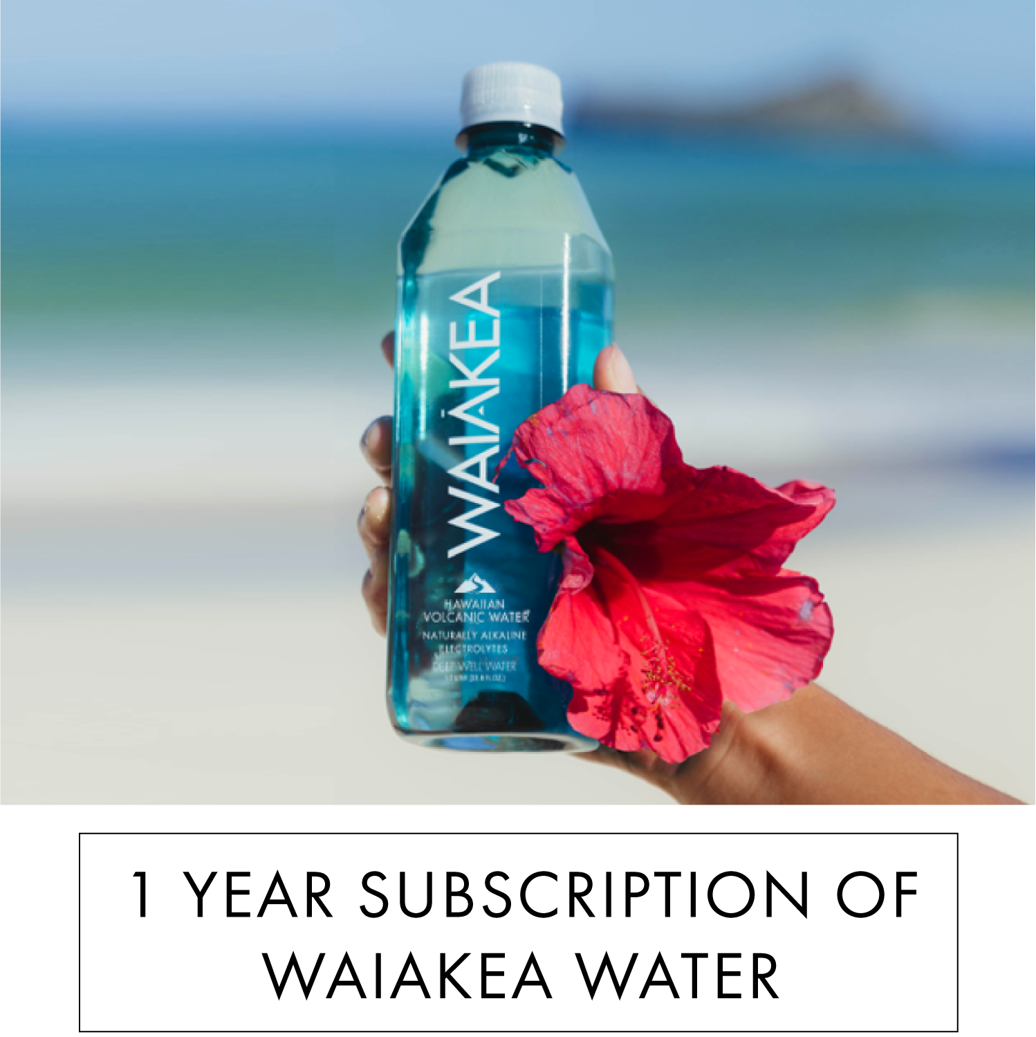 Waiakea Water Beach Promotion PNG