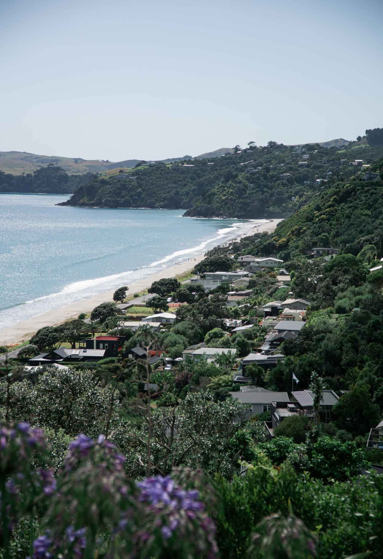 Waiheke Island Coastal View Wallpaper