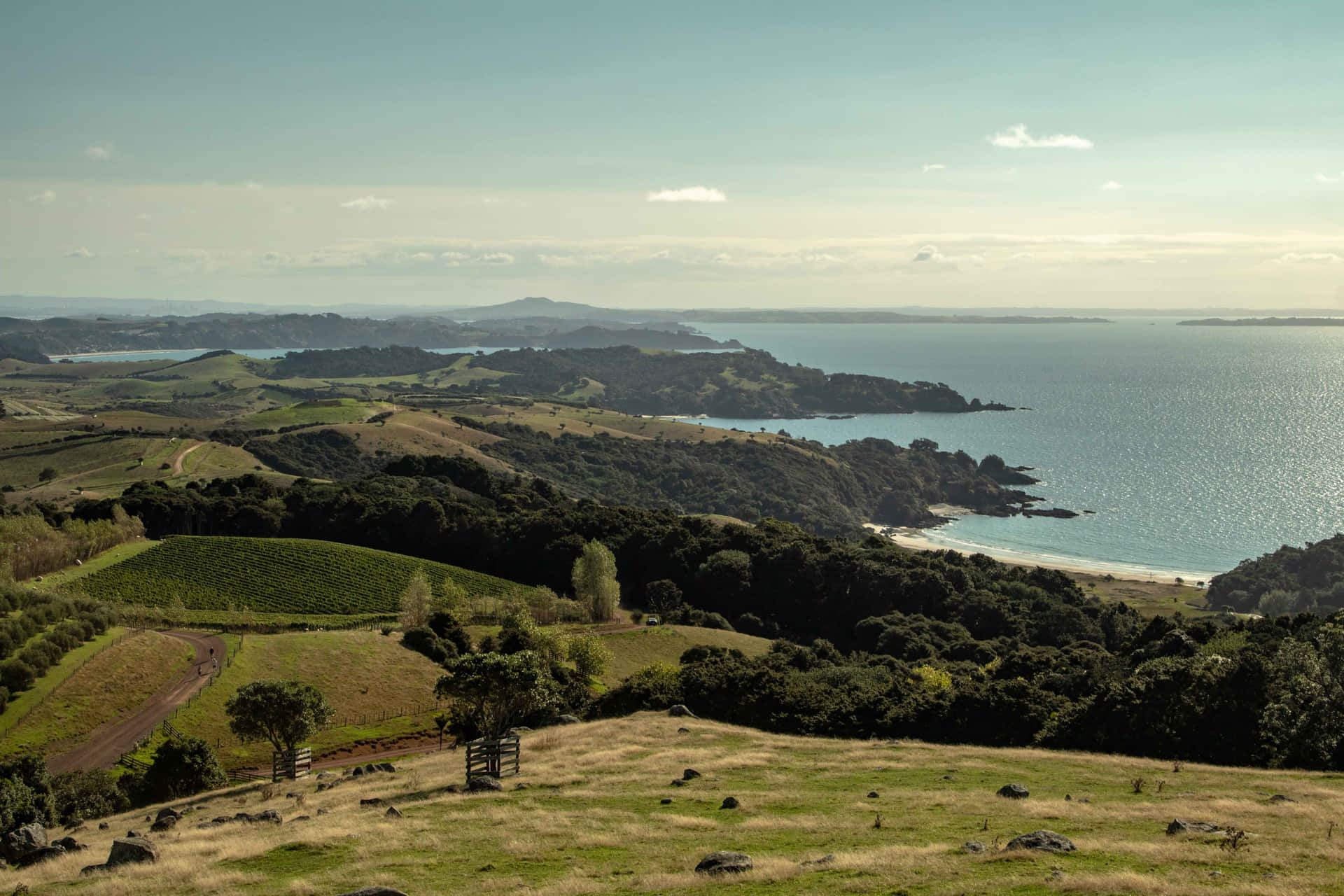 Waiheke Island Coastal View New Zealand Wallpaper
