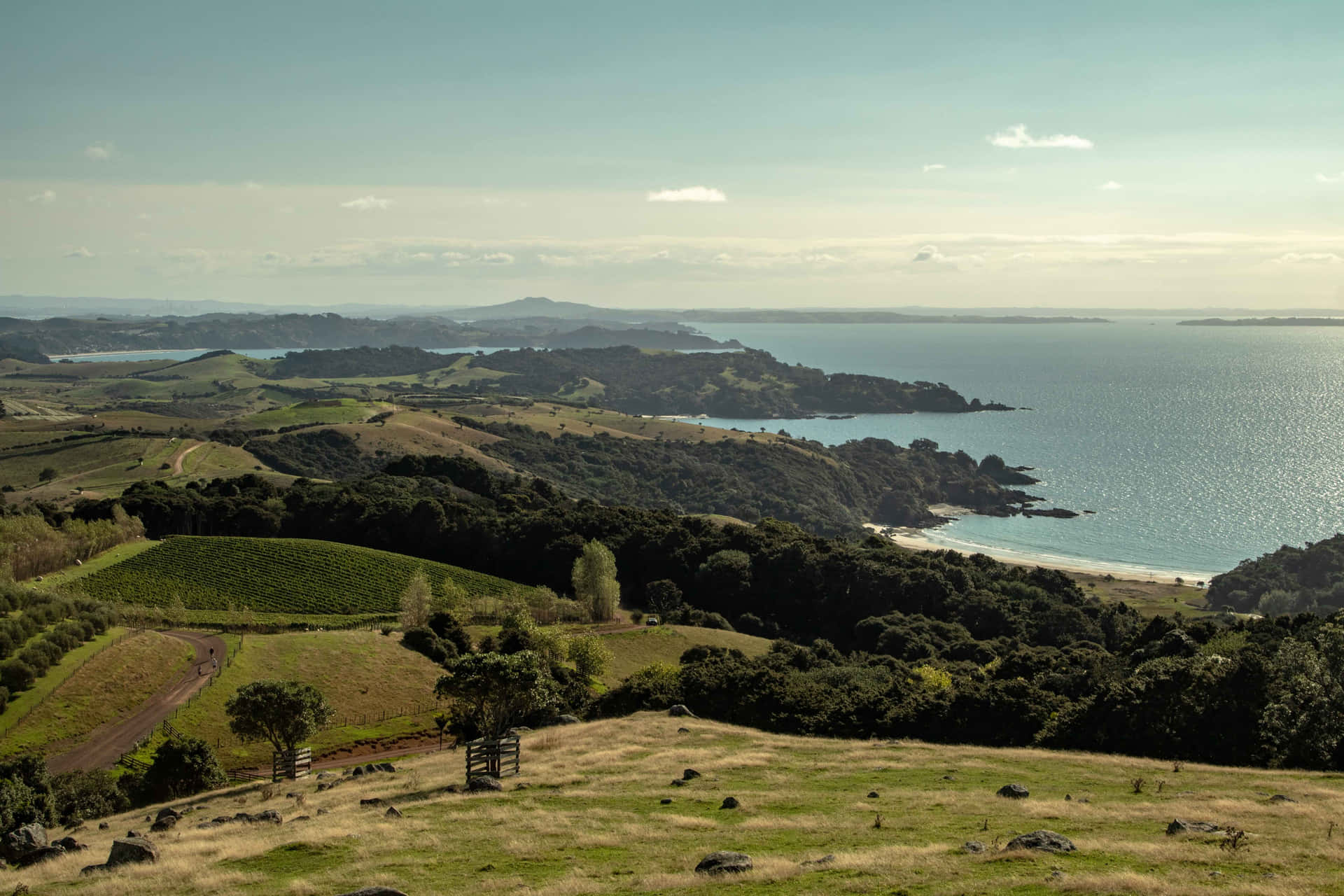 Waiheke Island Kystutsikt New Zealand Bakgrunnsbildet