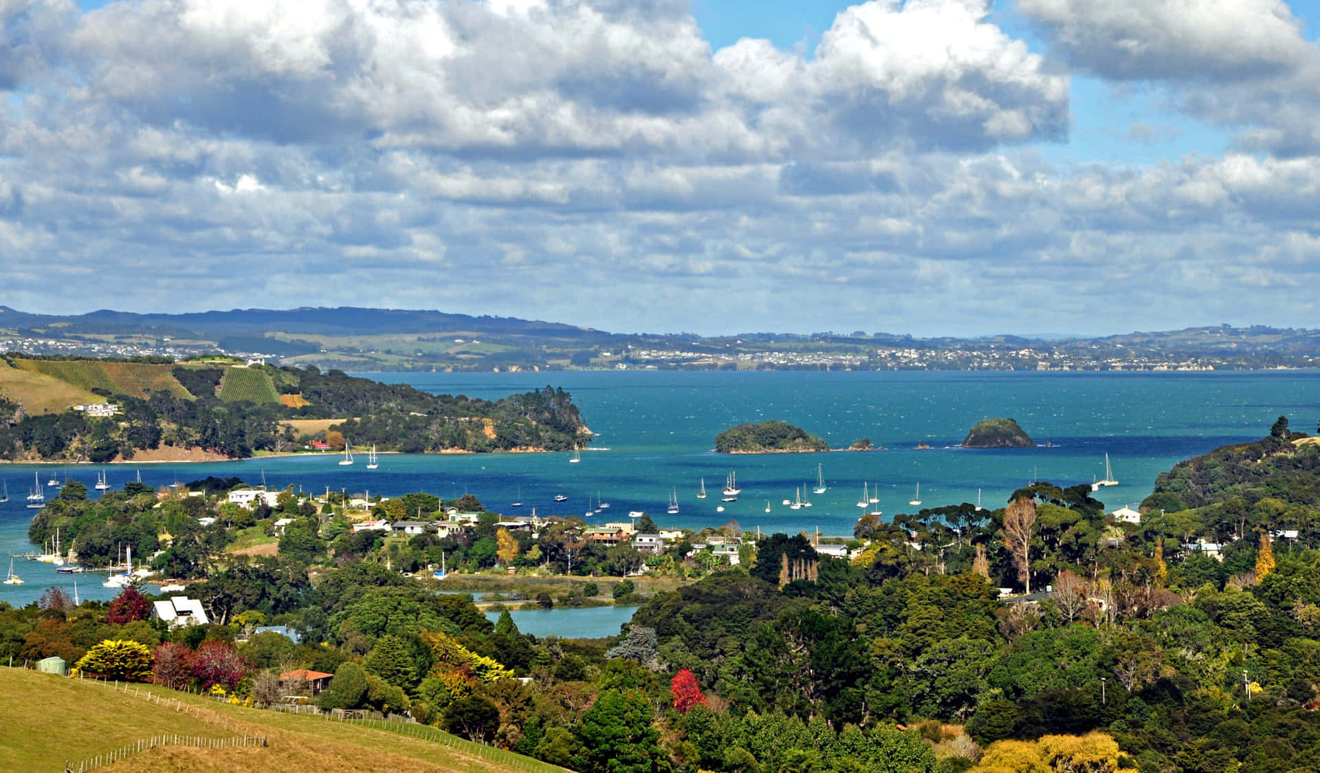 Waiheke Island Coastal View New Zealand Wallpaper