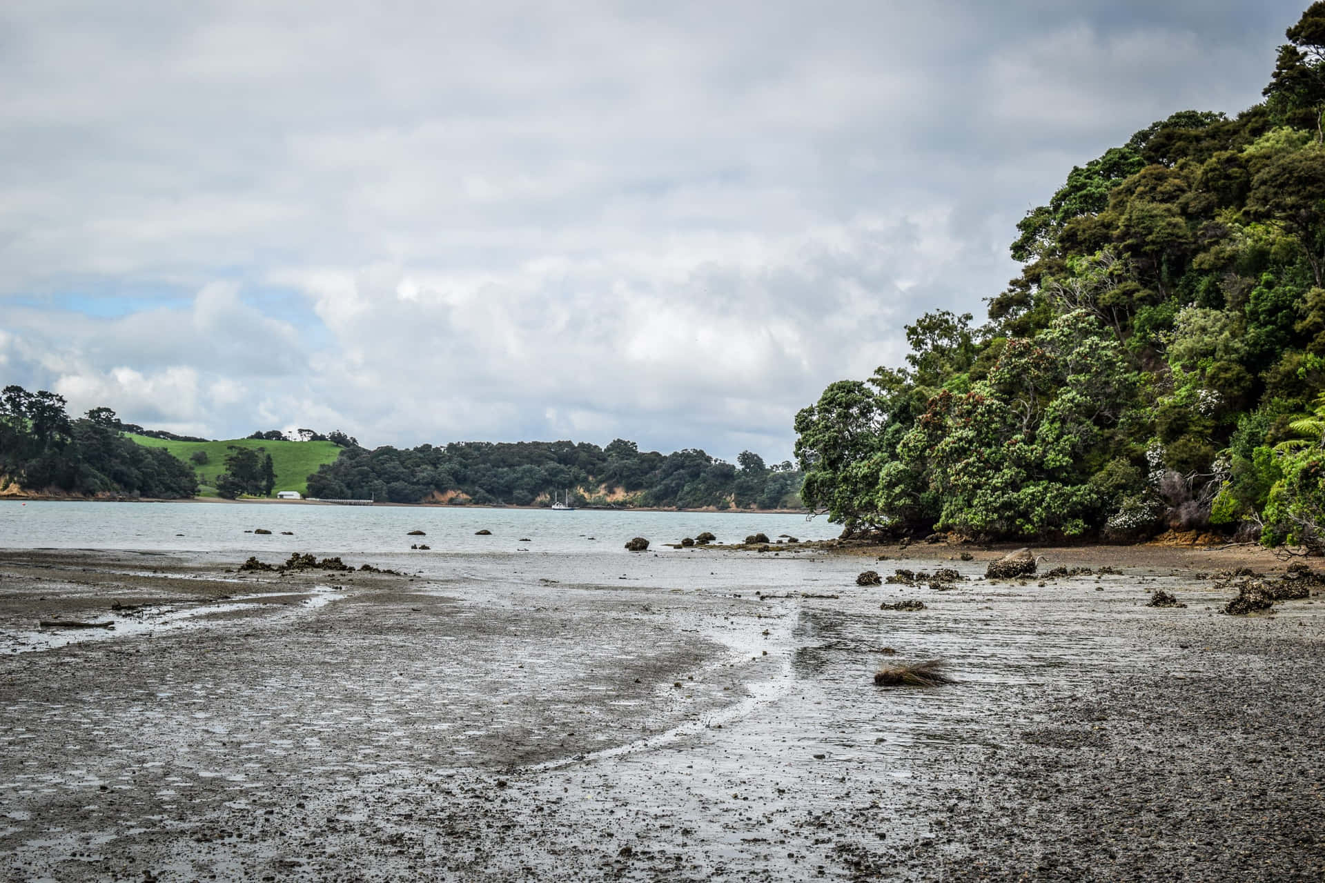 Waiheke Island Coastline Wallpaper