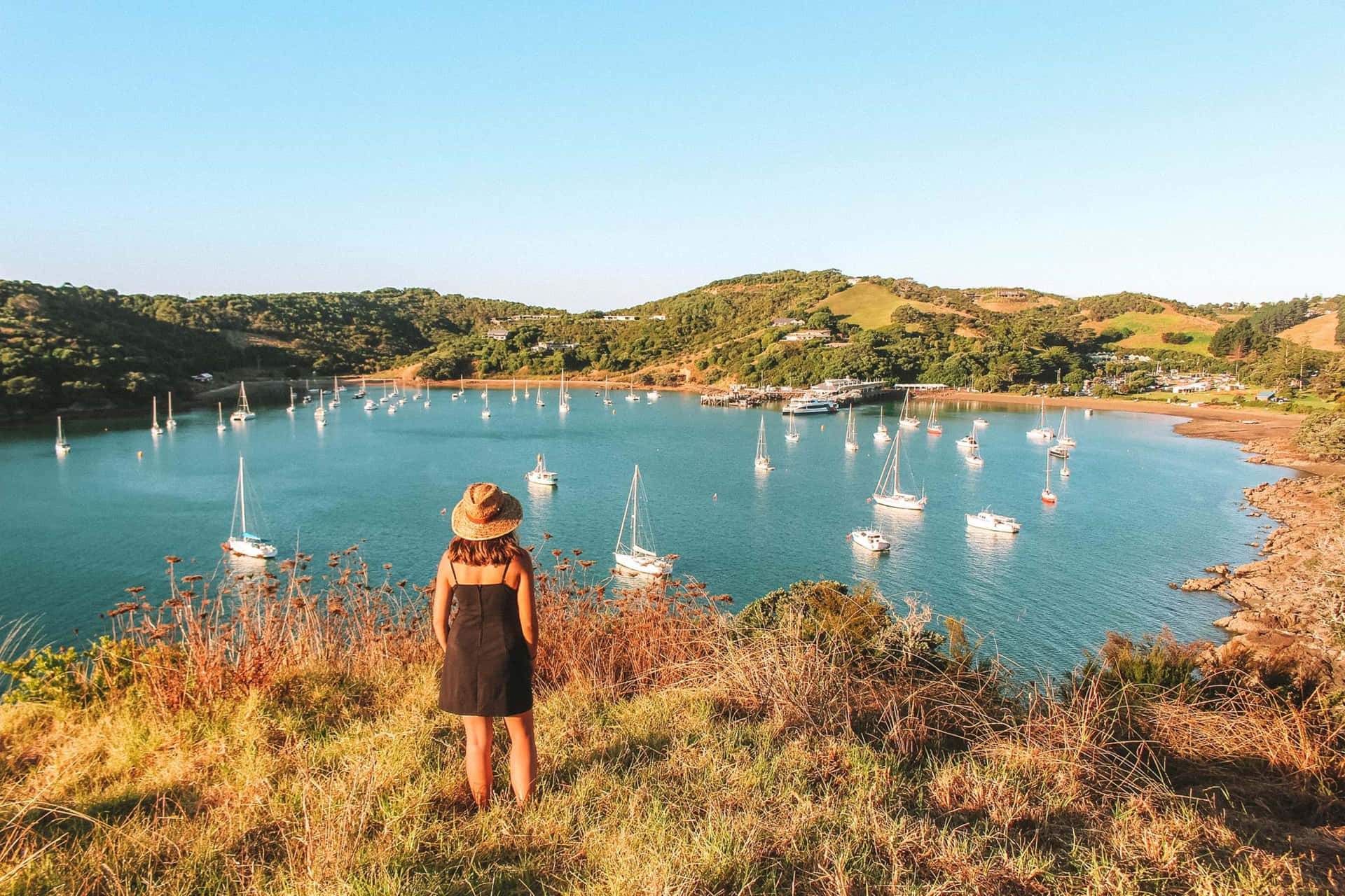 Waiheke Øy Fred Bakgrunnsbildet