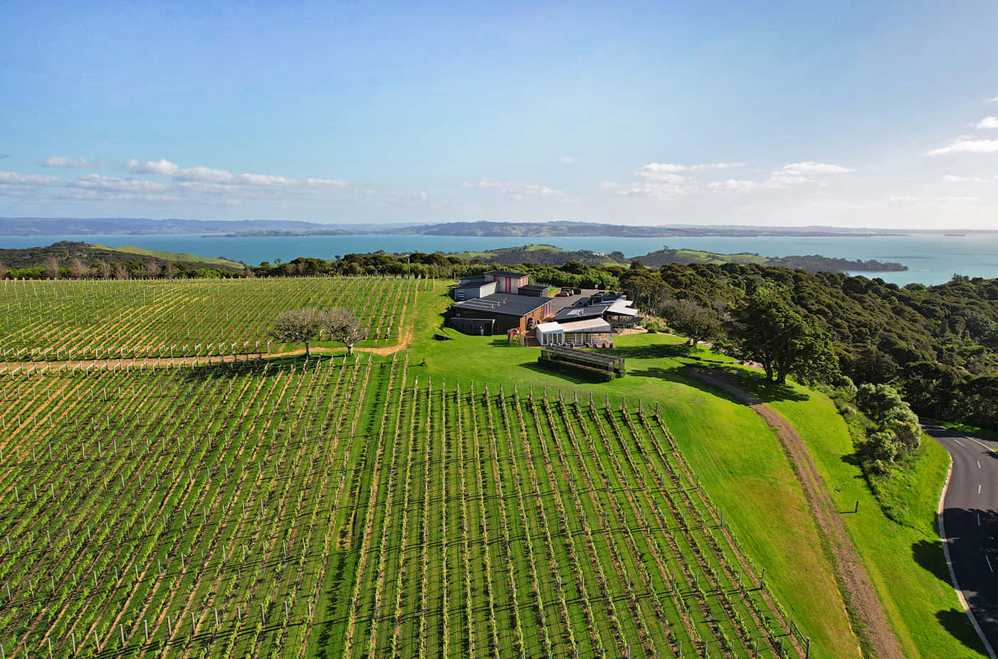 Waiheke Island Vineyard Aerial View Wallpaper