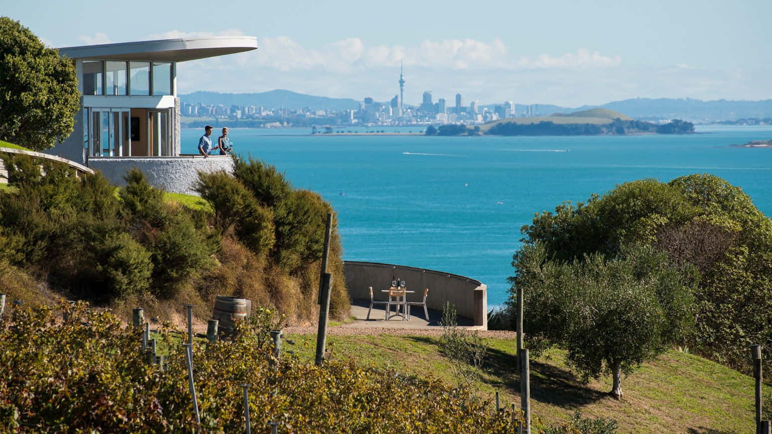 Waiheke Island Vineyard With Auckland Skyline View Wallpaper
