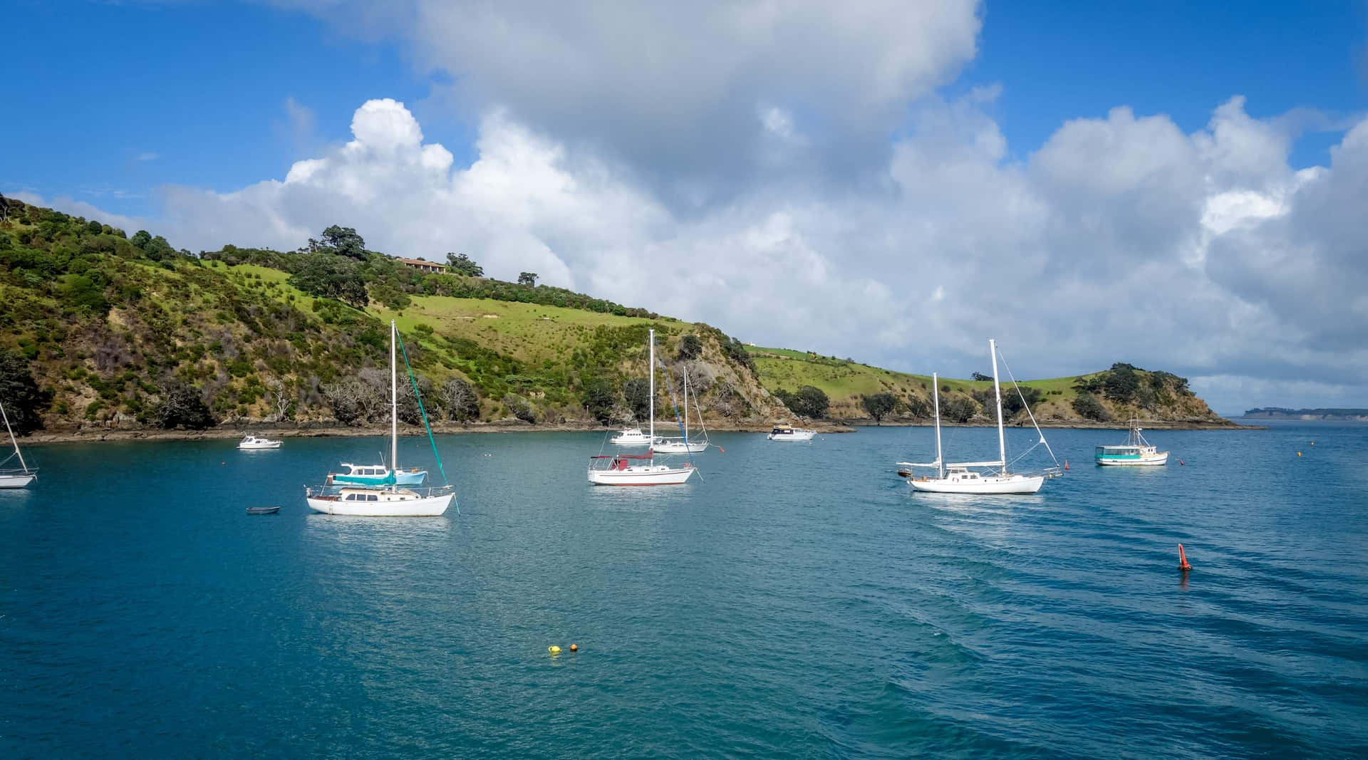 Waiheke_ Island_ Yachts_ Anchored Wallpaper