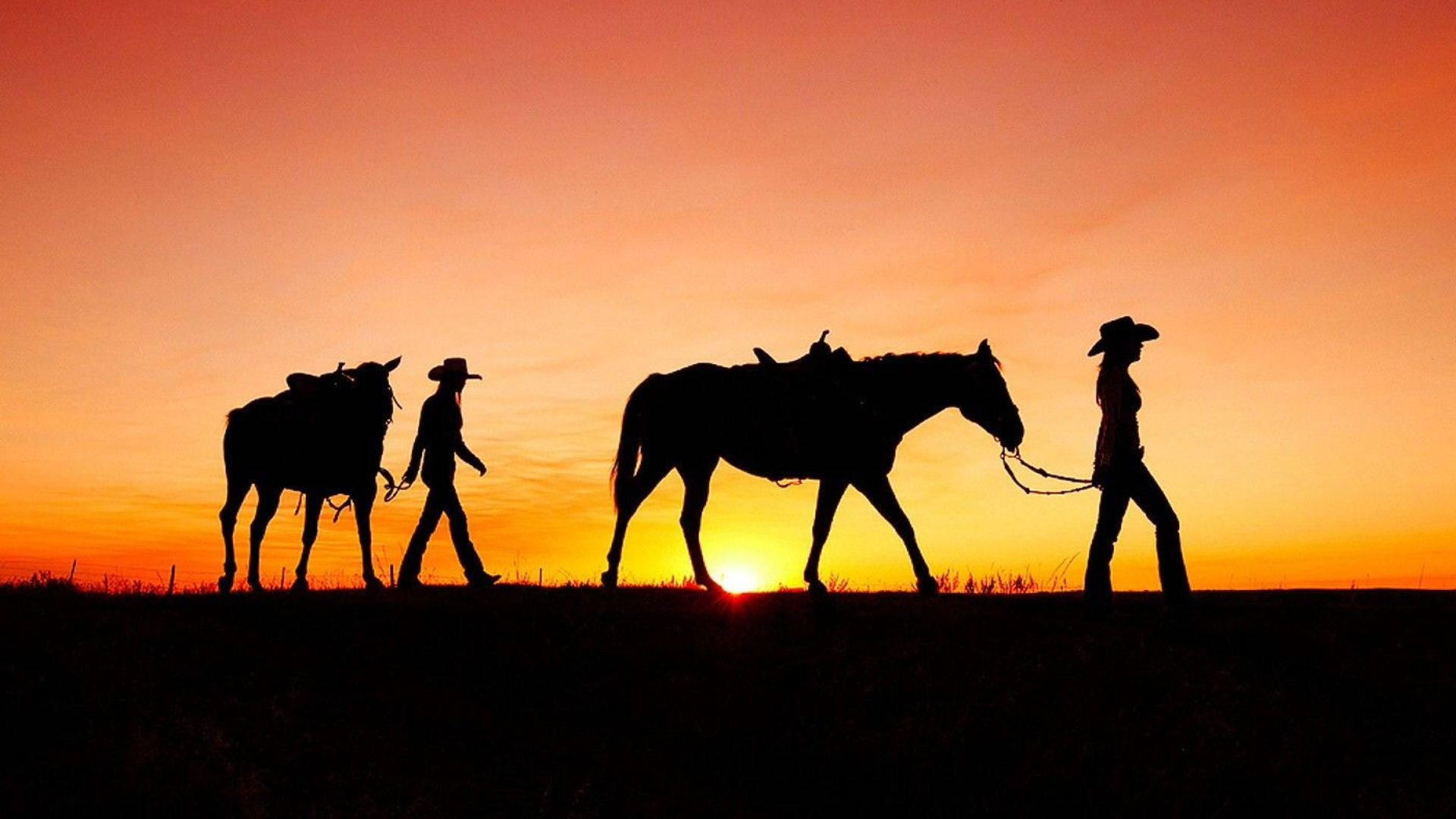 Walking Cowgirl And Horses Wallpaper