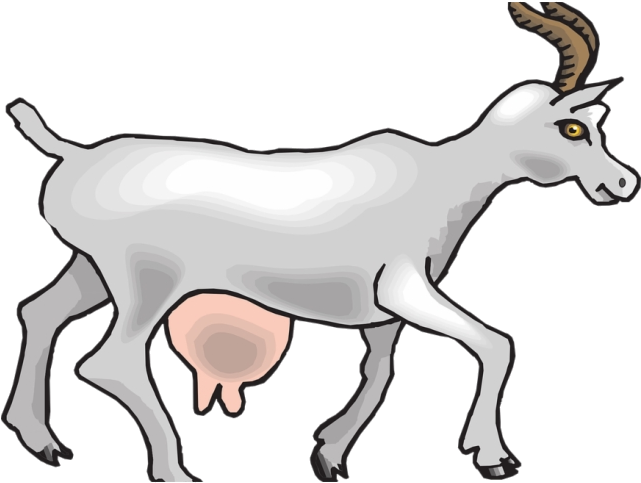 Walking Goat Illustration.png PNG