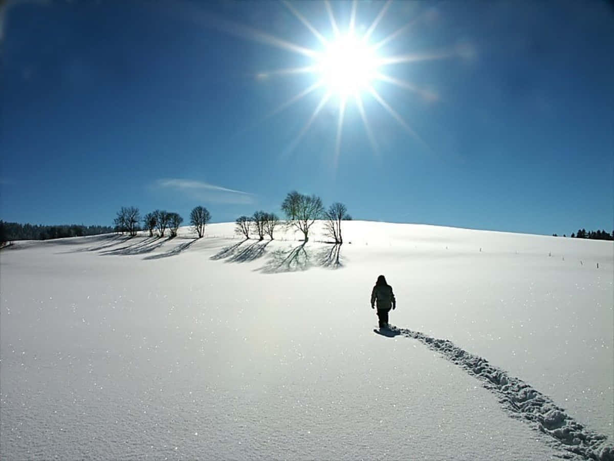 Идешь зимой по полю тишина. Зимнее поле. Снежное поле. Человек идет по снегу. Снежная равнина.