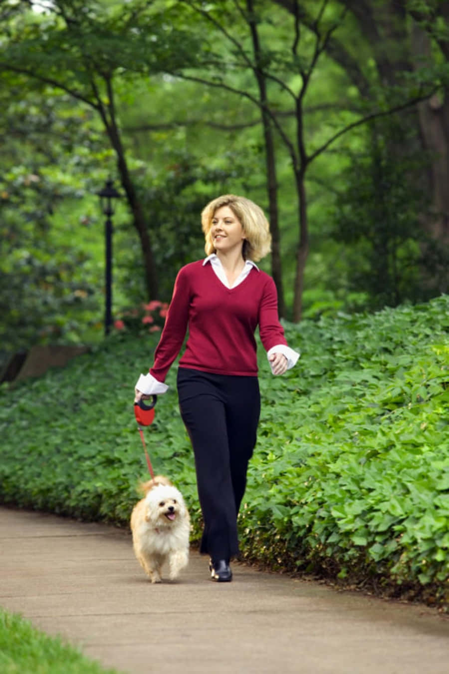 Approfittandodell'occasione Per Allungare Le Gambe E Fare Una Passeggiata Rilassante