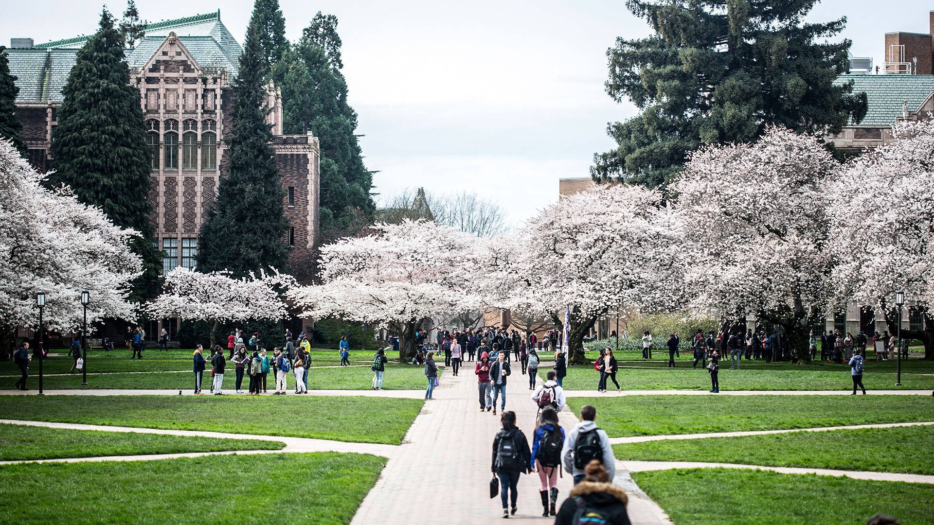 Walking Students At University Of Washington Wallpaper