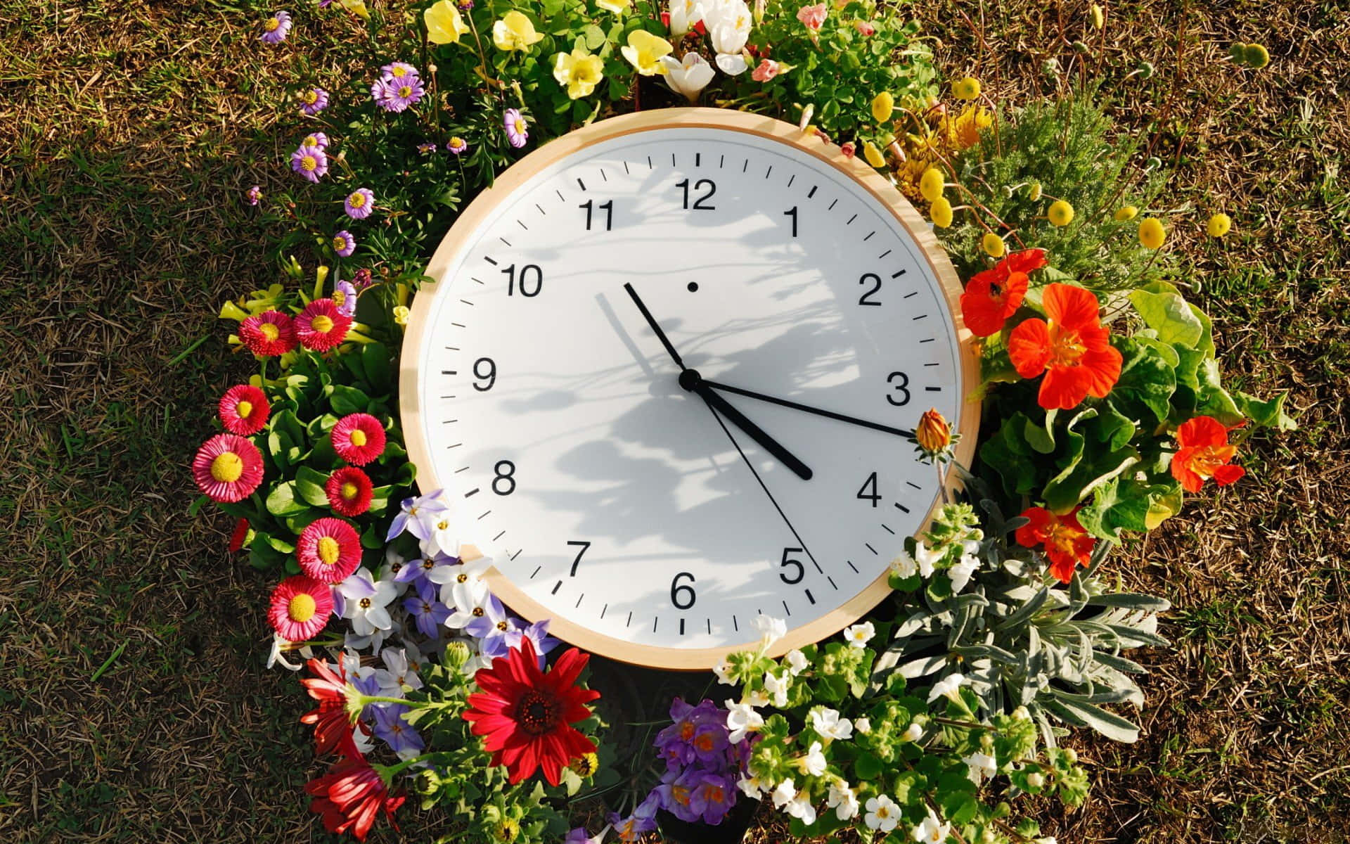 A Clock Made Of Flowers