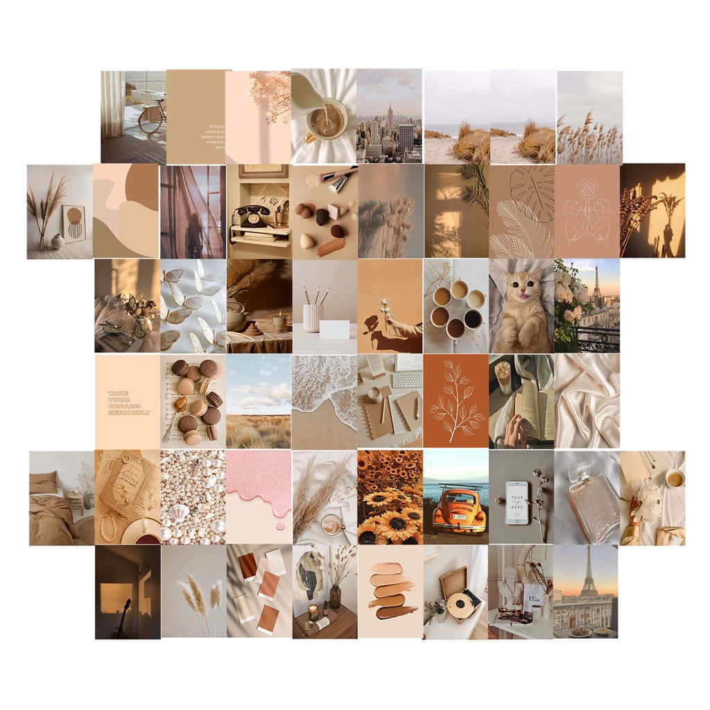 A Collage Of Photos With A Beige Background