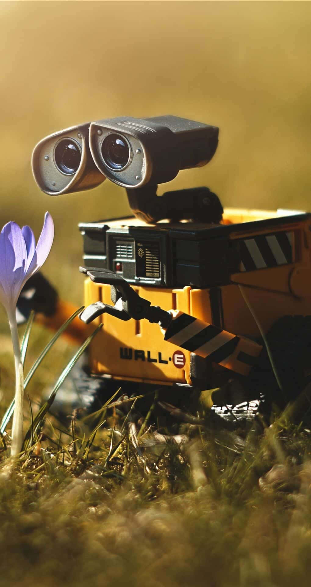 Vælg blomst Wall E Iphone Wallpaper