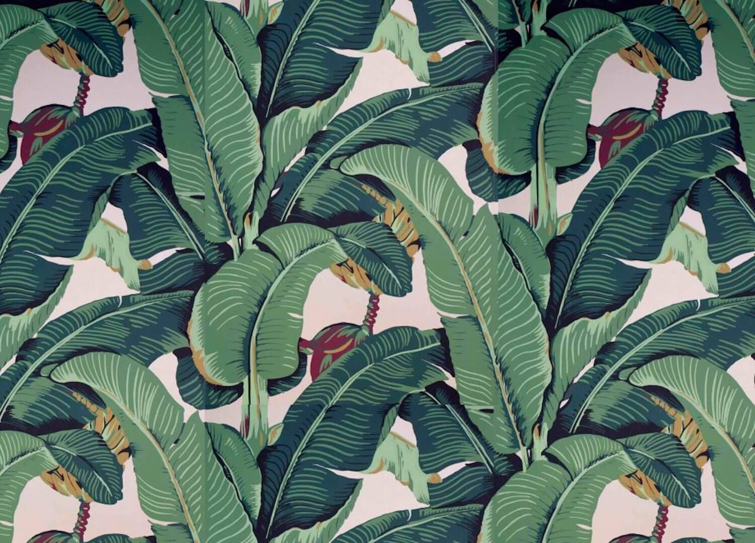 The Iconic Beverly Hills Banana Leaf Wallpaper  Classic Green  Designer  Wallcoverings and Fabrics