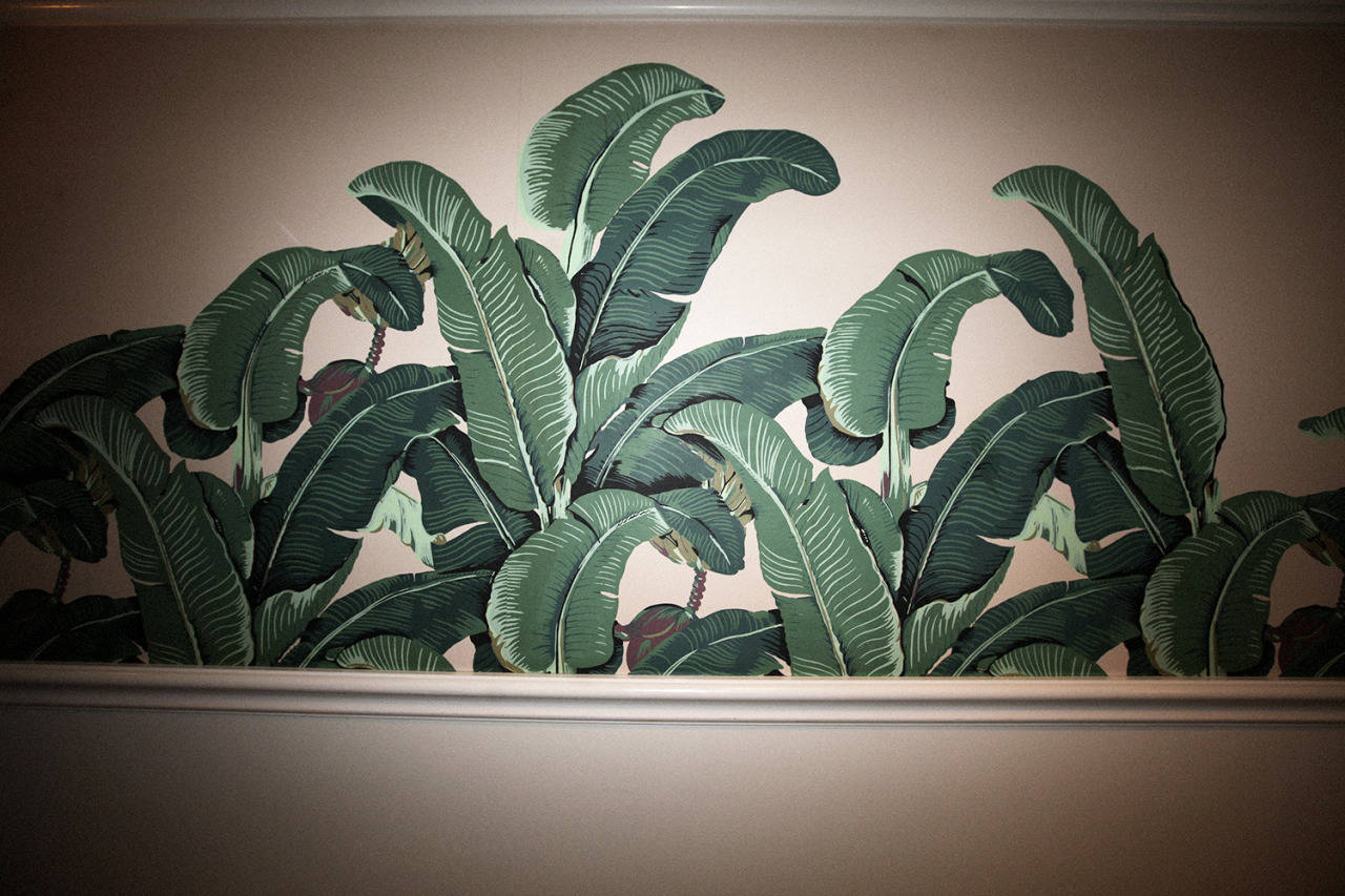 Wall In Beverly Hills Hotel Wallpaper