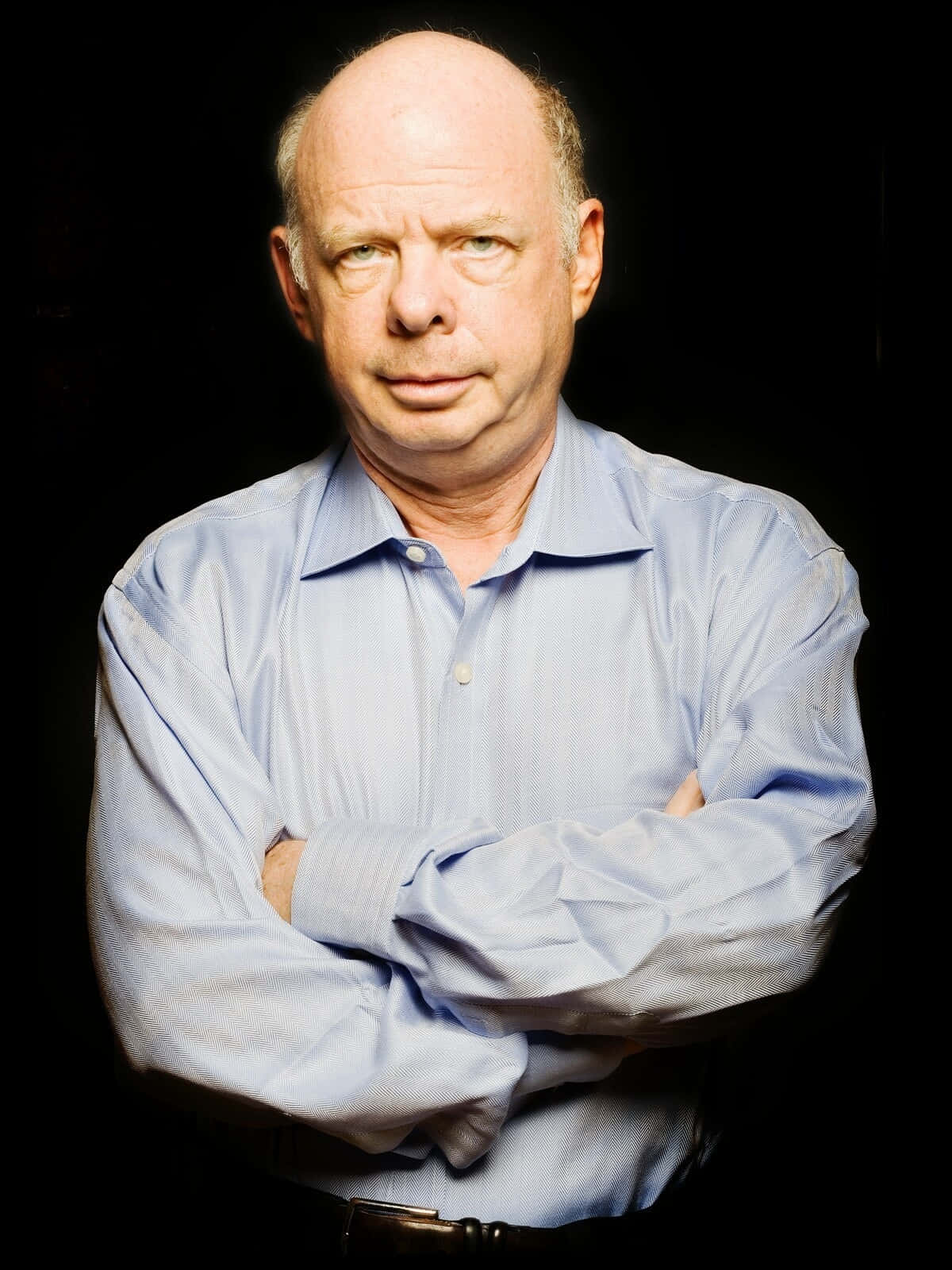 Caption: Wallace Shawn, renowned actor and playwright, posing for a photoshoot. Wallpaper